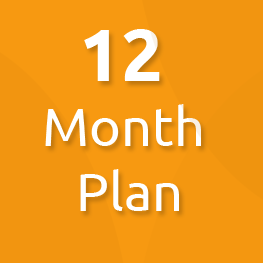 12 month plan