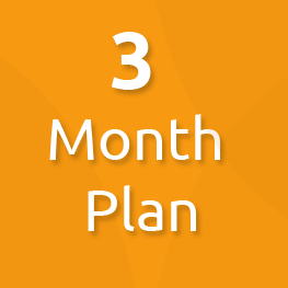 3 month plan