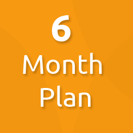 6 month plan