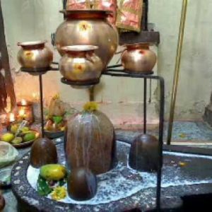 Maha Rudrabhishek Puja in Shravan at Holy place Ujjain