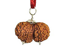 gauri-shankar-rudraksha-pendant